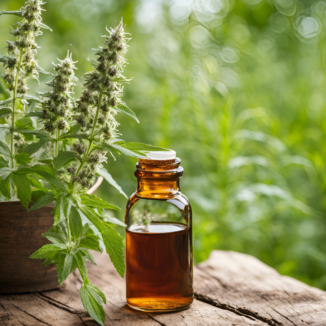 Motherwort Tincture